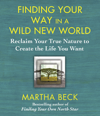 Cover image for Finding Your Way in a Wild New World by Martha Beck